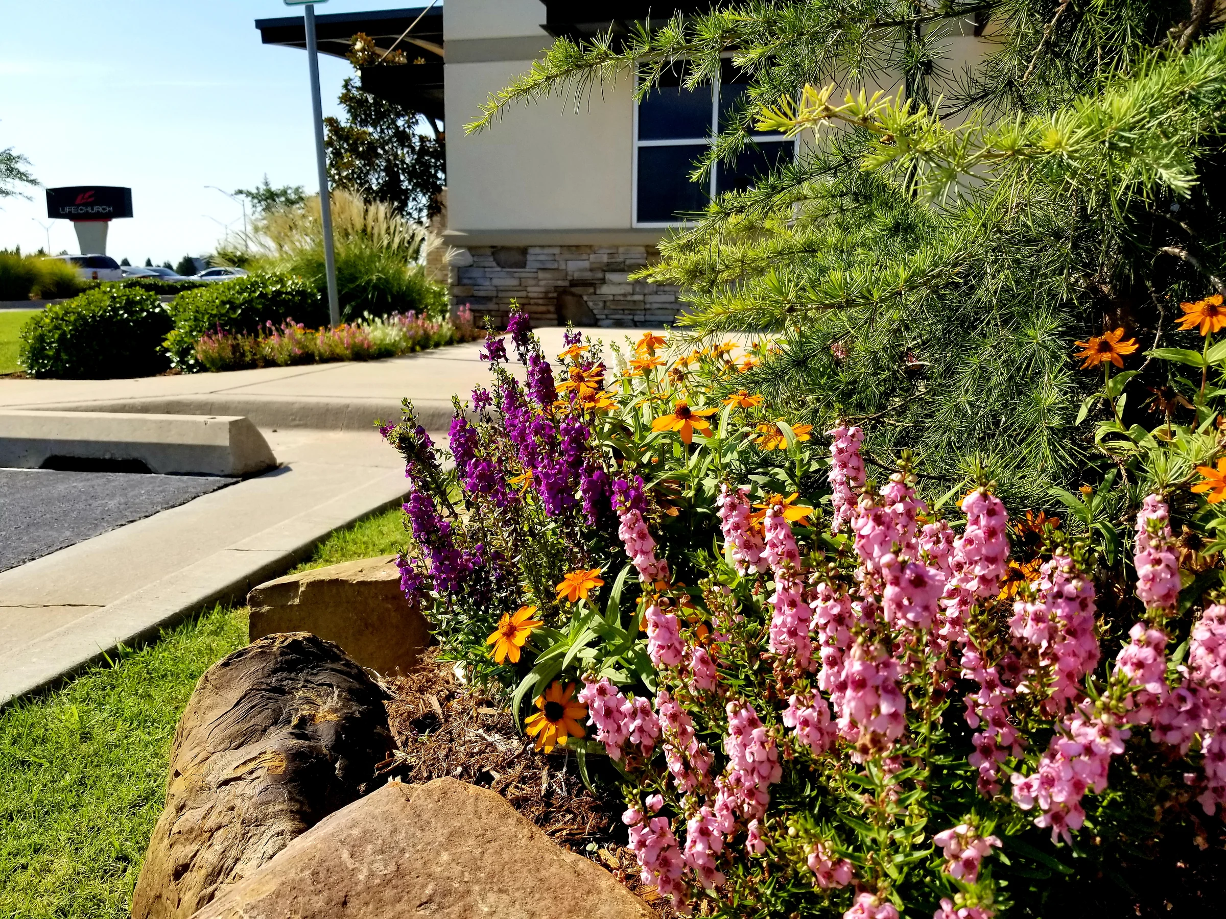Colorful planted bed with ornamental grasses at a commercial property